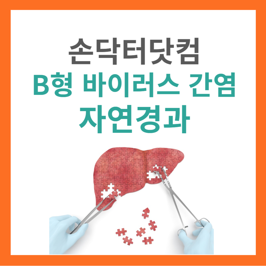 B형 간염 자연경과