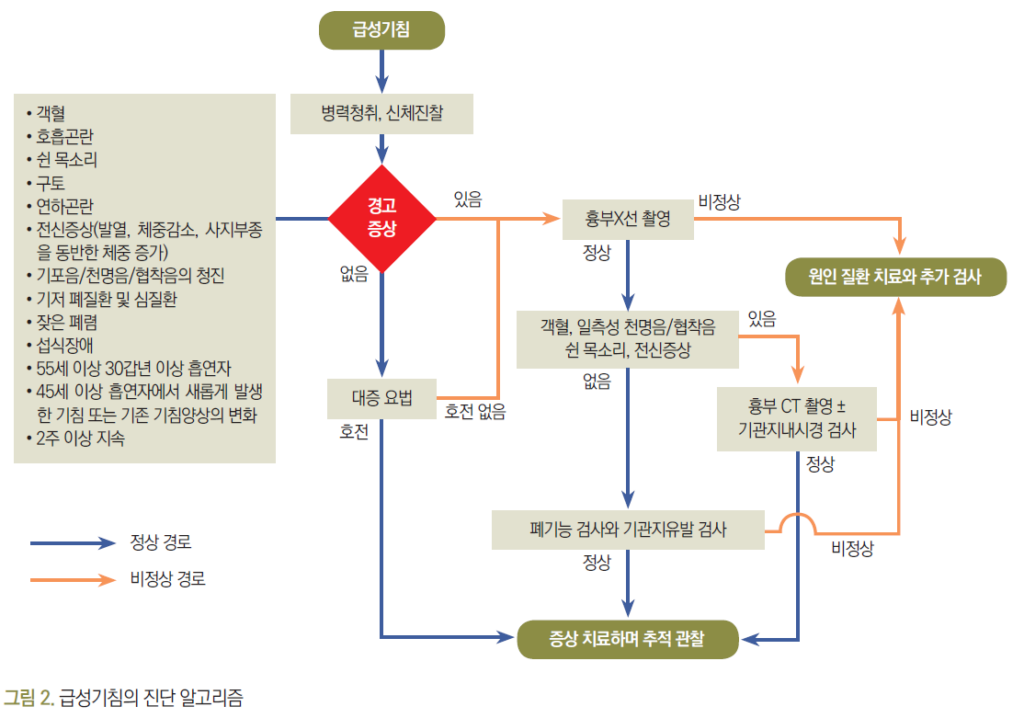 손닥터닷컴-image