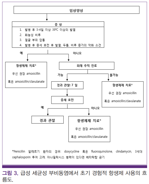 손닥터닷컴-image