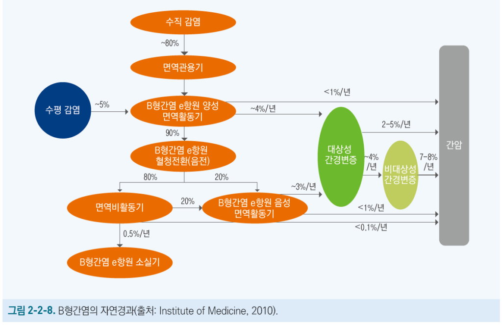 B형 간염