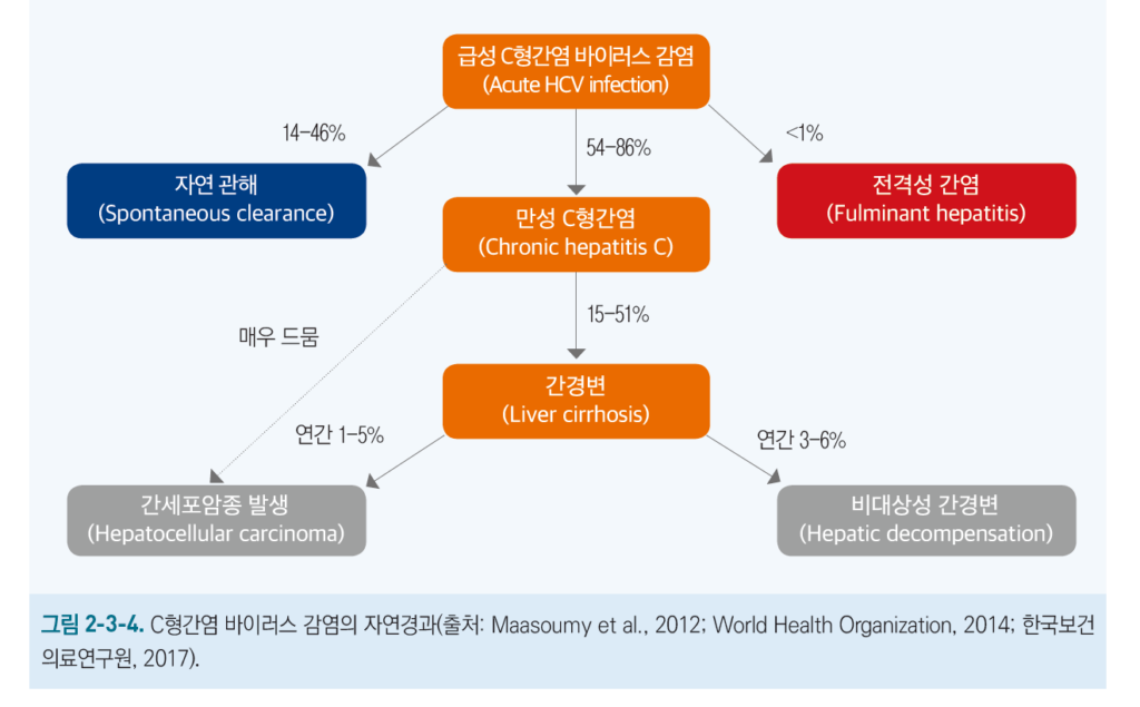 C형 간염 HCV