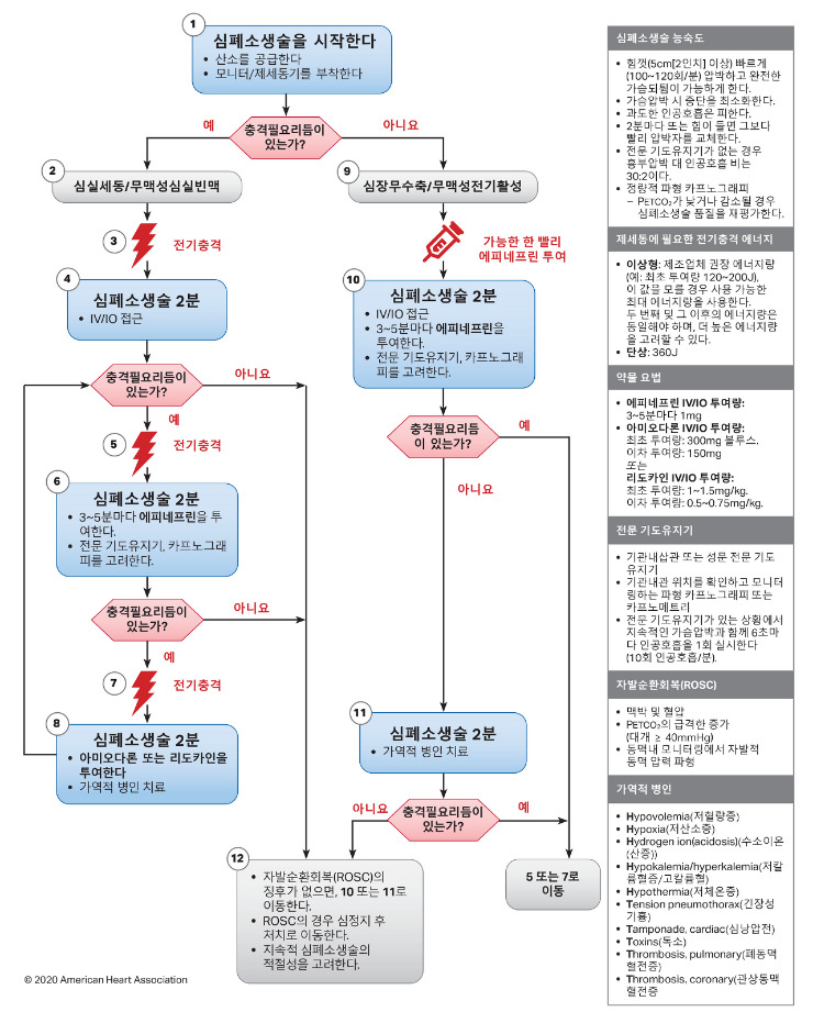 의학용어 PCAS ROSC CPR