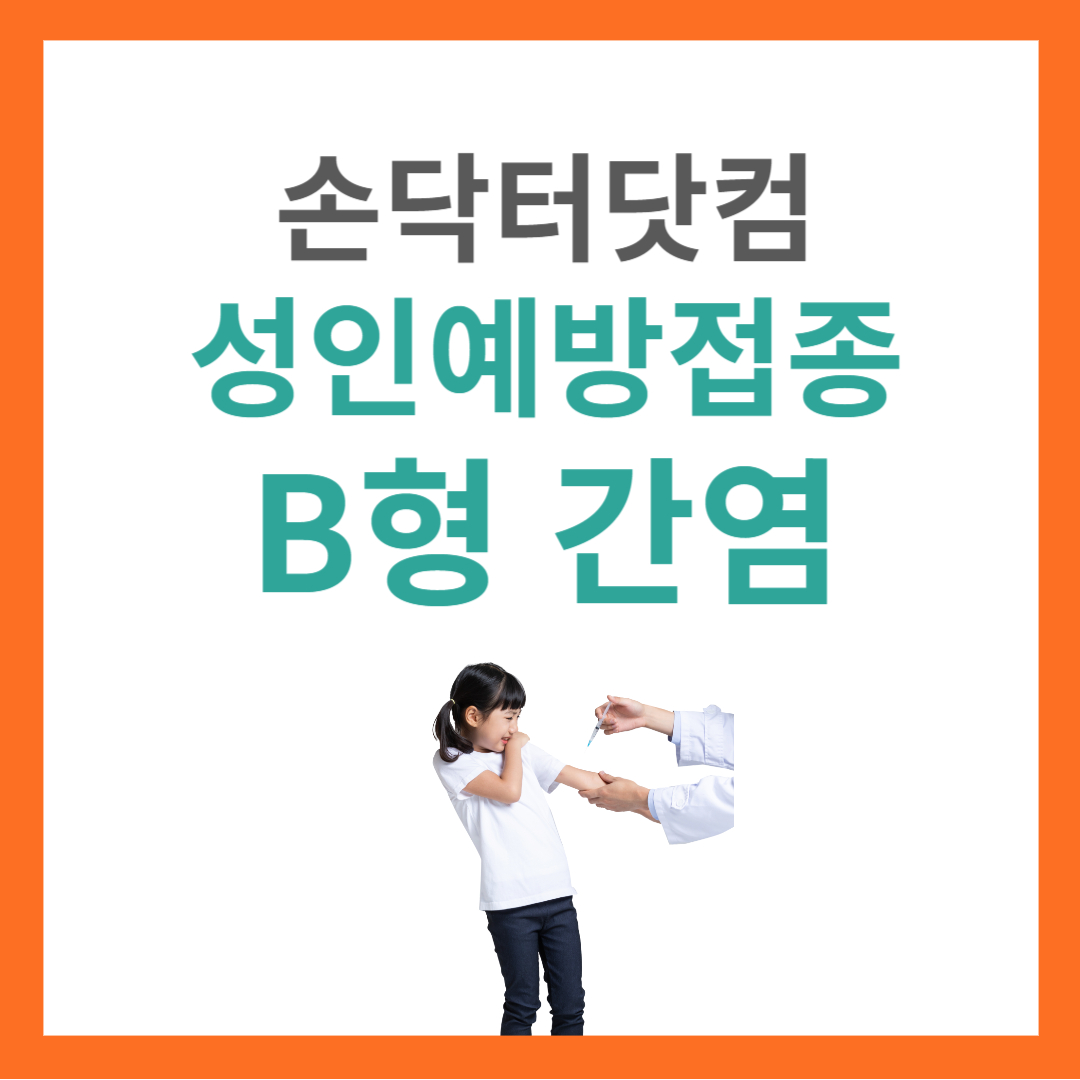 성인예방접종 B형 간염 예방접종