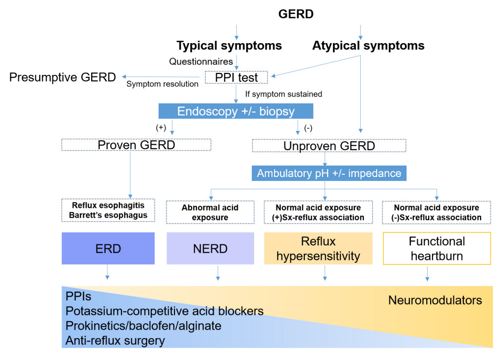 GERD 위식도역류질환 가이드라인