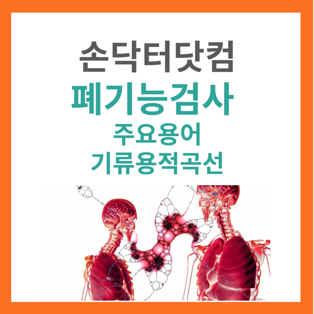 폐기능 검사