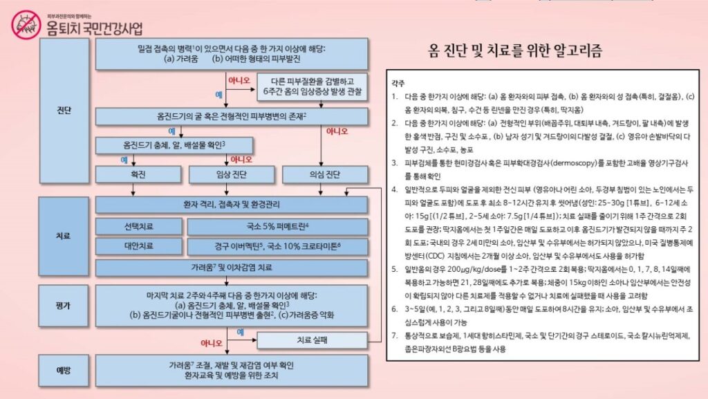 옴 치료제