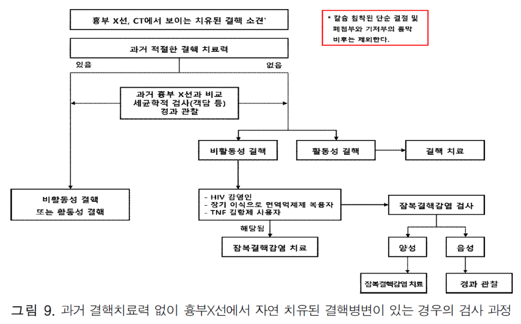 손닥터닷컴-image