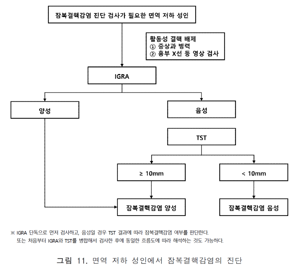 손닥터닷컴-image