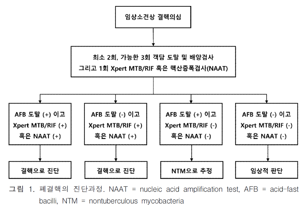 결핵의 진단