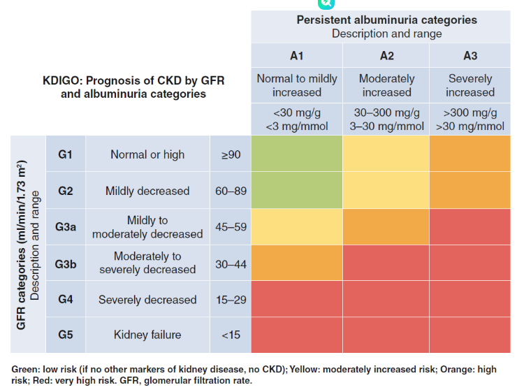 推定糸球体濾過量(eGFR)4-in-1 計算機 – MDRD、CKD-EPI(2009年 & 2021年)を一度に比較 6 Smart Online Doctor - image