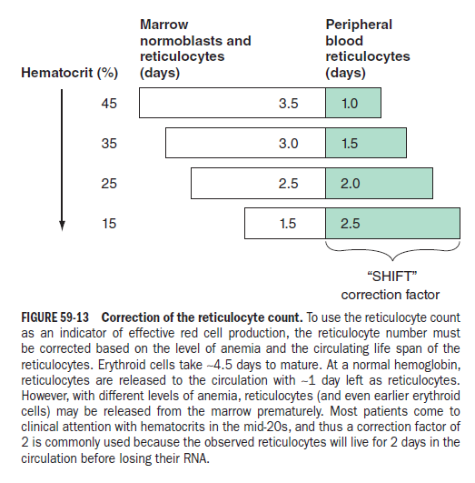 Reticulocyte Production Index (RPI) Calculator 4 Smart Online Doctor - image