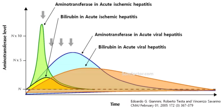 AST/ALT ratio Calculator (De Ritis ratio) 5 Smart Online Doctor - image