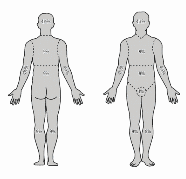 Smart Online Doctor - image