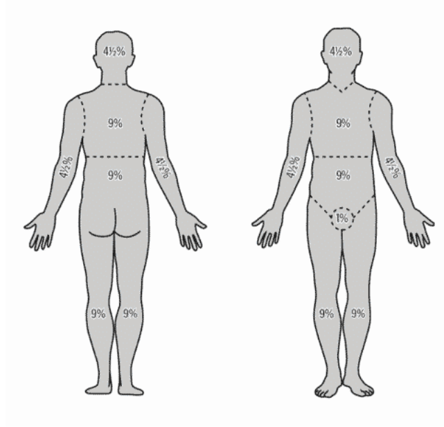 Smart Online Doctor - image