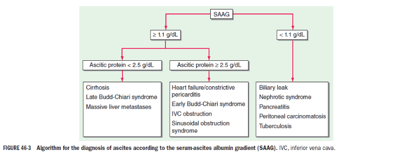 Smart Online Doctor - image